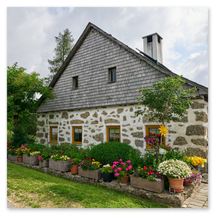 Traditionelles Steinbloßhaus mit Ziegeldach, Fensterläden und farbenfrohem Blumengarten; gepflasterter Weg, Baum und ländliche Umgebung ohne spezifische Ortszuweisung im Mühlviertel