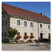 Traditionelles Steinbloßhaus mit roten Ziegeldach, Fensterblumen und Kletterpflanzen; gepflasterter Vorplatz mit schwarzem Hund in Stiftung bei Neumarkt im Mühlviertel