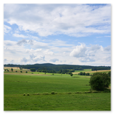Das Bild zeigt eine malerische Landschaft mit sanft geschwungenen Hügeln. Im Vordergrund wächst sattes grünes Gras, dahinter breiten sich goldene und grüne Felder aus, durchsetzt mit vereinzelten Bäumen und Sträuchern. Im Hintergrund erhebt sich eine bewaldete Anhöhe mit dichtem Baumbestand. Darüber spannt sich ein Himmel mit teils weißen Wolken, durch die blauer Himmel hindurchscheint. Die Szene vermittelt Ruhe, Weite und die Schönheit des ländlichen Raums in warmem Licht.