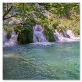 Mehrere kleine, idyllische Wasserfälle fließen durch grüne Farne und Sträucher direkt in einen klaren, türkisblauen See im Nationalpark Plitvicer Seen unter schattenspendenden Bäumen.