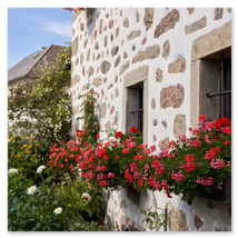 Steinbloßhaus mit vergitterten Fenstern, roten und rosa Blumenkästen, blühendem Vorgarten und Tageslicht; ländliche Szene in Ottenschlag im Mühlviertel