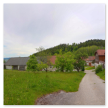 Mehrere Steinbloßhäuser mit Ziegeldächern entlang gepflastertem Weg, umgeben von Wiesen mit Wildblumen und bewaldetem Hügel; ruhige Dorfszene in Stiftung bei Neumarkt im Mühlviertel