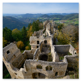 Panoramaaufnahme der Burgruine Prandegg, einer mittelalterlichen Höhenburg im Mühlviertel: teilweise erhaltene Kalksteinmauern und ein hoher Bergfried thronen auf einem bewaldeten Hügel, umgeben von sanft geschwungenen Hügeln und dichten Laubwäldern im Hintergrund. Ideal für SEO-Stichworte wie Burgruine Prandegg, Mühlviertel, Oberösterreich, mittelalterliche Burg, Ruinenfotografie, Landschaftsfotografie und historische Architektur.
