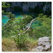 Blick von einer hohen Felsklippe hinab auf einen geschwungenen Holzsteg inmitten von türkisblauen Seen, grünen Büschen und kleinen Wasserfällen im Nationalpark Plitvicer Seen.