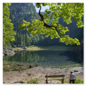 Teilweise trockener Kammersee mit Holzbank und Wandernden am Ufer; umgeben von Wald und Felswand, Lichtspiel auf Wasser und Laub, Szene von Ruhe und Bewegung