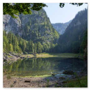 Seichter Kammersee mit Algenflächen und Waldhang; Felswand im Hintergrund, Lichtspiel auf Wasser und Laub, Szene von Tiefe, Vegetation und geologischer Spannung