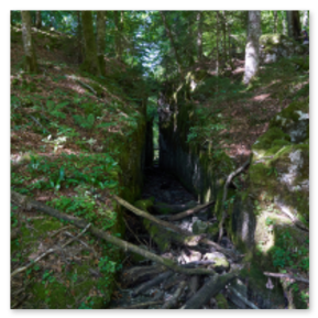 Steiler Felsgang am Rand des Kammersees mit Wurzelwerk und Hangvegetation; Lichtspiel auf Stein und Laub, Szene von geologischer Spannung und ruhiger Enge