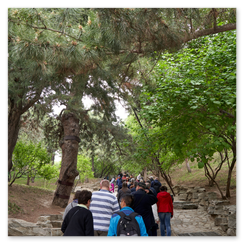 Menschen auf einem gepflasterten Weg, der sich durch einen schattigen Wald mit dichtem Grün zieht; flankiert von Naturstein und Bäumen, die Szene wirkt ruhig und gemeinschaftlich, ein Moment stiller Bewegung im Parkgelände.