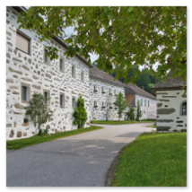 Gepflasterte Straße mit mehreren Steinbloßhäusern, markantem Baum und gepflegtem Grün; ruhige Dorfszene in Katzing bei Rohrbach-Berg im Mühlviertel