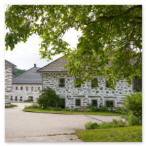 Mehrere Steinbloßhäuser mit unregelmäßiger dunkler Musterung und Ziegeldächern entlang gepflasterter Straße; Bäume, Sträucher und ruhige Dorfszene in Katzing bei Rohrbach-Berg im Mühlviertel