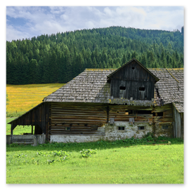 Altes, verwittertes Holzhaus mit teils weiß gekalktem Sockel in einer grünen Wiese. Im Hintergrund dichter Nadelwald und ein ansteigender Hang. Das Dach ist mit Schindeln gedeckt, die Holzwände bestehen aus senkrechten und waagrechten Brettern. Die Wiese ist von gelben Wildblumen durchsetzt, der Himmel teils bewölkt.