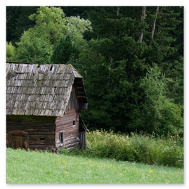 Alte Holzhütte mit steil geneigtem, verwittertem Schindeldach am Rand einer Wiese. Wände aus waagrecht verlegten Holzbrettern, Dach mit Moosbewuchs. Umgeben von dichtem Wald mit hohen Bäumen und Unterholz. Im Vordergrund grasbewachsene Fläche mit einzelnen Wildblumen.