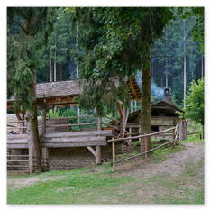 Rustikale Holzhütten mit Schindeldach und Holzplanken stehen in einem bewaldeten Gebiet beim Burgbau Friesach. Die Szene zeigt traditionelle Bauweise und vermittelt die Atmosphäre eines mittelalterlichen Handwerksdorfs, umgeben von Natur und historischen Elementen
