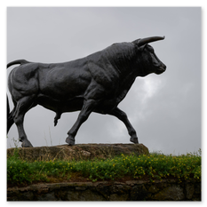 Stierstatue aus dunklem Material auf dem Magdalensberg – dynamische Pose auf Steinplattform, trüber Himmel, Wiese mit gelben Blüten und Steinmauer im Vordergrund.