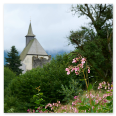 Kirche mit Turm am Petersberg Friesach – teils verdeckt durch Bäume, rosa Blüten im Vordergrund, Nebel über Tal und Bergkulisse, ruhige Szene mit Naturanteil.