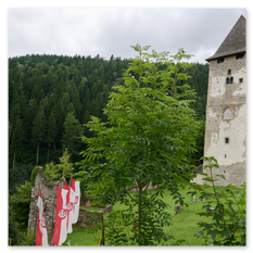Mittelalterlicher Burgturm mit Spitzdach am Waldrand in Friesach – Steinmauer mit Fenster, Grünfläche und Bäume im Vordergrund, dichter Waldhang im Hintergrund.