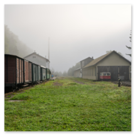 Ansicht eines kleinen ländlichen Bahnhofs mit grünen Personenwagen und braunem Güterwaggon auf den Gleisen, daneben Gebäude der Station, im Hintergrund Bäume und Hügel im Nebel, ruhige und nostalgische Stimmung