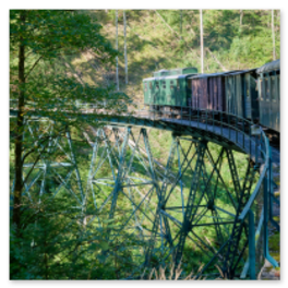 Historischer Zug des Ötscherbahn Express fährt über ein seltenes Stahlviadukt, wie es in Österreich nur noch dreimal existiert, die filigrane Gitterkonstruktion spannt sich durch dichten Wald, Sonnenlicht fällt zwischen die Bäume und verstärkt die eindrucksvolle Stimmung