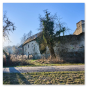 Abendlicher Blick auf das Wirtschaftsgebäude.