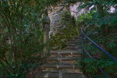 Steintreppe mit schwarzem Geländer führt zur Burg Werfenstein; Laternenpfeiler, moosbewachsene Mauern und dichter Wald verleihen der Szene stille historische Tiefe.