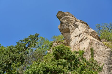 Heller Fels ragt aus bewaldetem Hang; laut Sage fertigte hier ein Schuster Schuhe zur Rettung – markante Form, grünes Umfeld, stille Erzählkraft im Stein.