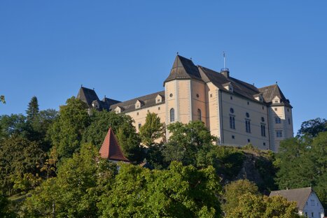 Schloss Greinburg mit hellen Mauern und steilen Dächern über bewaldetem Hang; Türme und Vegetation verleihen der Szene historische Ruhe und landschaftliche Tiefe.