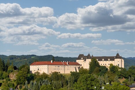 Burg Greinburg mit roten Dächern und hellen Mauern über bewaldetem Hügel; Türme, Wolkenzug und Waldkulisse verleihen der Szene historische Ruhe und Weite.
