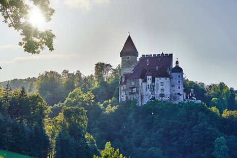 Burg Clam von Osten mit Rundturm, Giebel und rotem Dach über grünem Hang; spätes Licht und Waldrahmung verleihen der Szene historische Tiefe und Bildruhe.