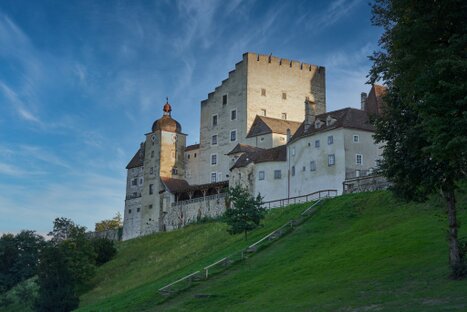 Burg Clam mit hellem Mauerwerk, rundem Turm und Kuppel über grünem Hang; spätes Licht und klare Struktur verleihen der Szene historische Tiefe und Bildwärme.